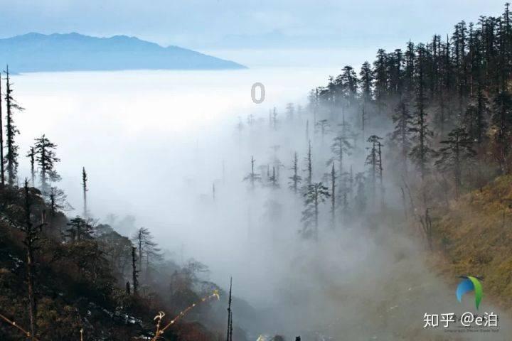 《无间道》老搭档梁朝伟、刘德华再度合作 庄文强：《金手指》的金色是有阴影的
